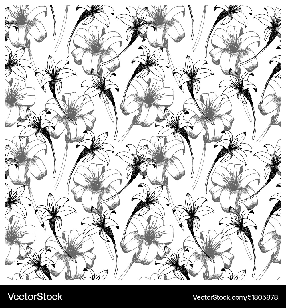 Daylily seamless pattern Daylily seamless pattern vector image