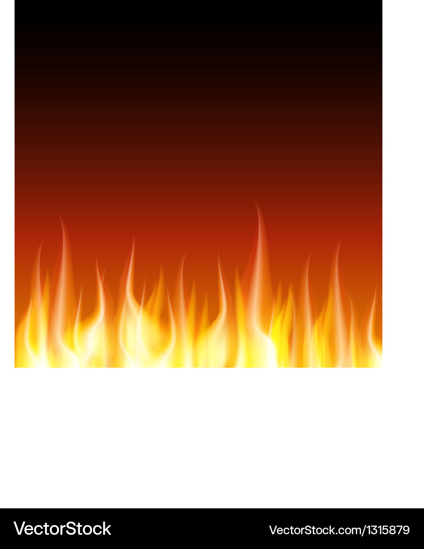 Burn flame fire background Royalty Free Vector Image