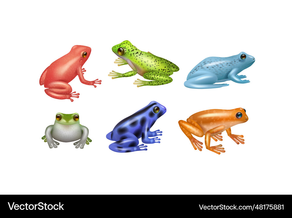 Frogs realistic wild amphibian set of vector image