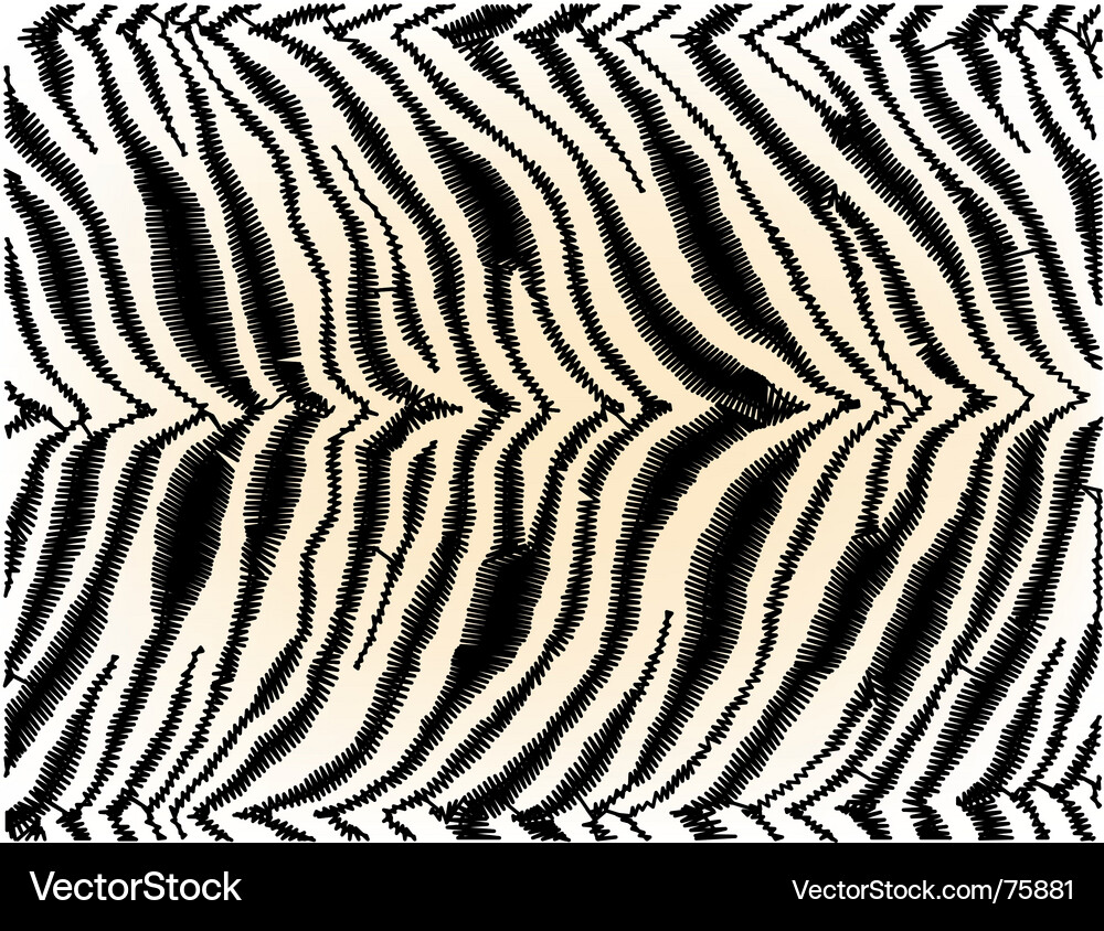 Zebra Pattern Texture Vector Image