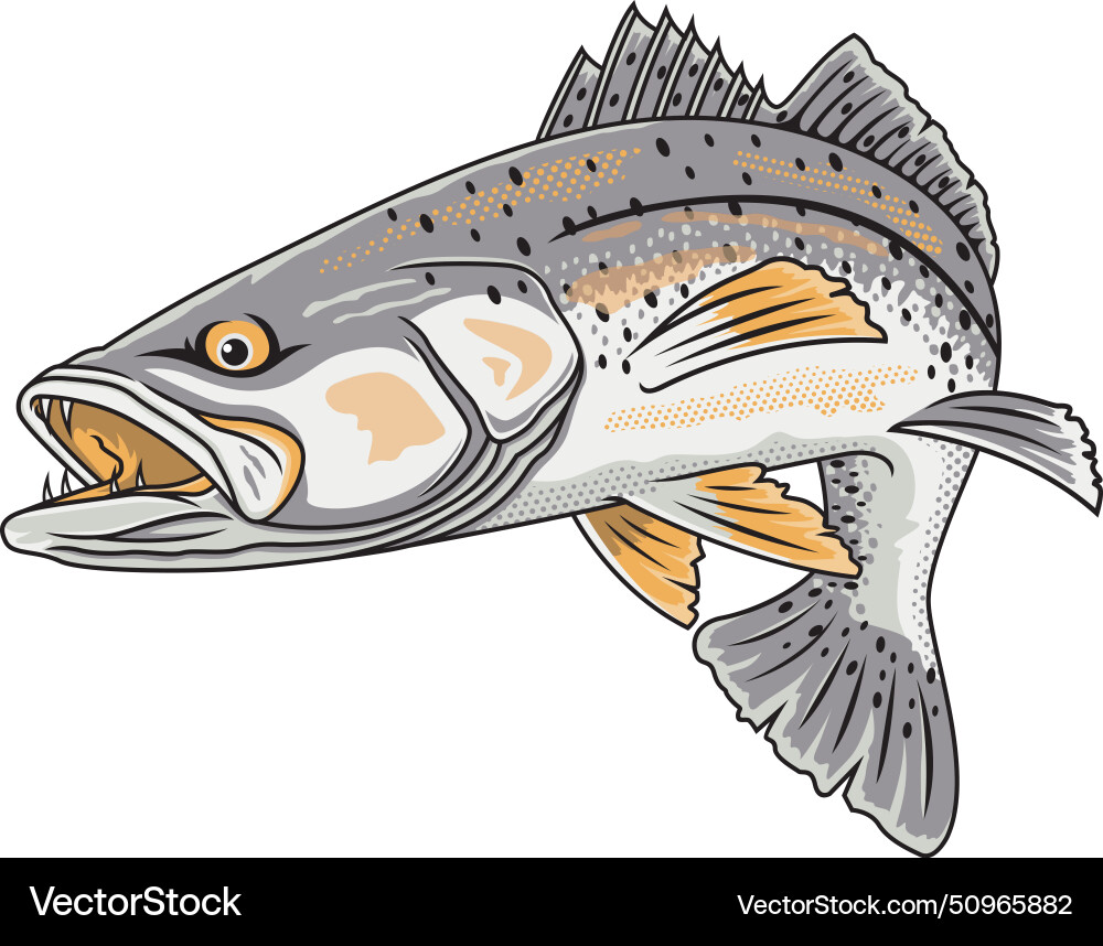 Speckled Trout Fishing Logo Vector Image