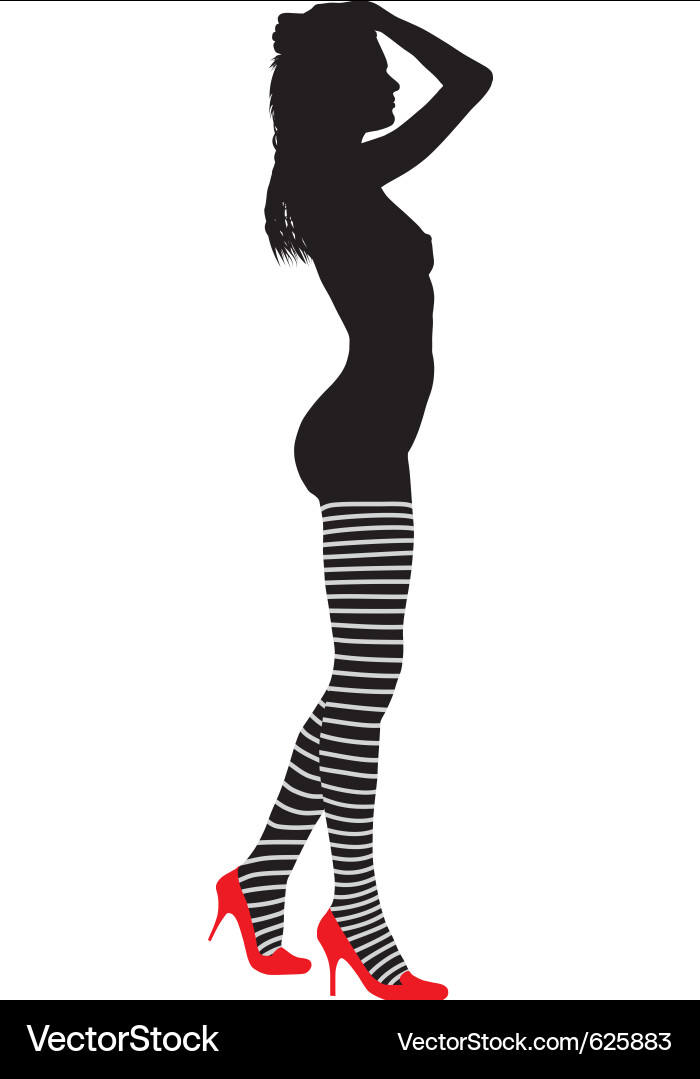 Elegant Striped Stockings Vector Image