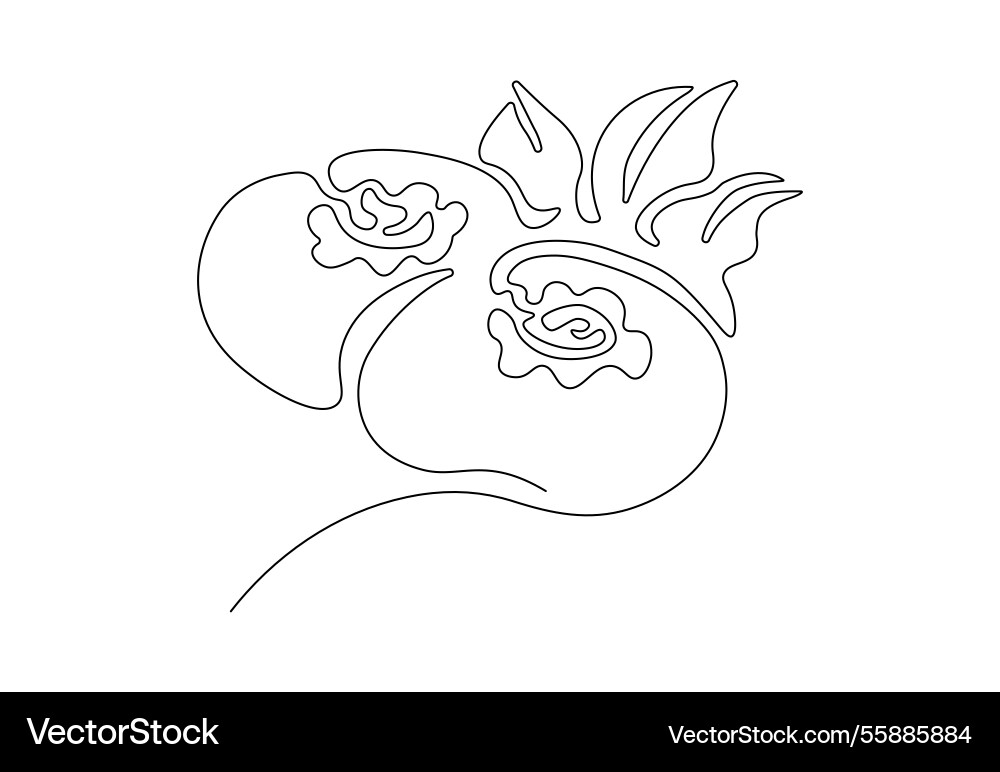 Minimalistic continuous line art of two vector image