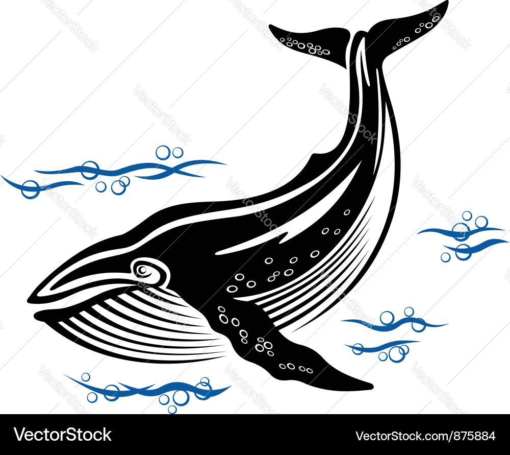 Whale in Ocean Waters vector image