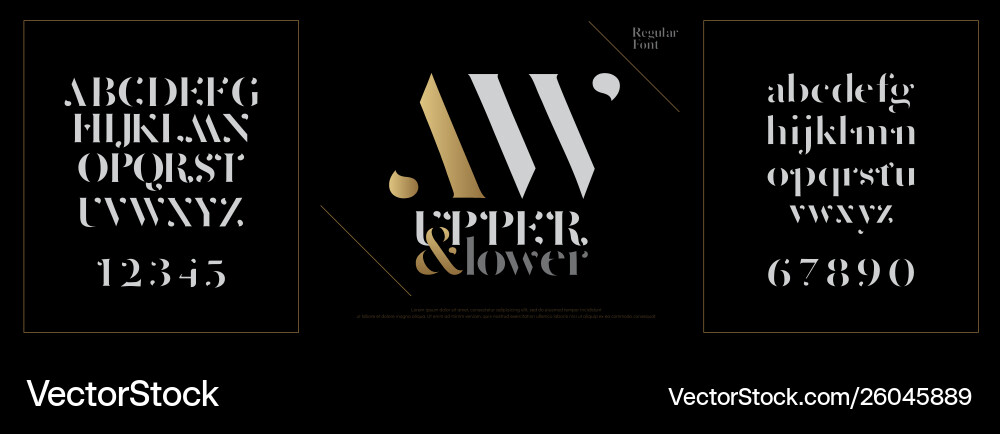 Elegant alphabet letters font set classic custom Elegant alphabet letters font set classic custom vector image