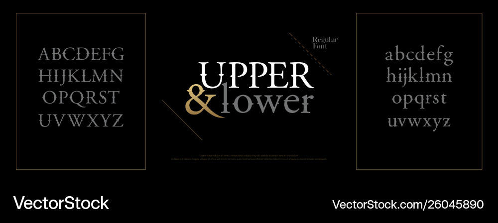 Elegant alphabet letters font set classic custom Elegant alphabet letters font set classic custom vector image