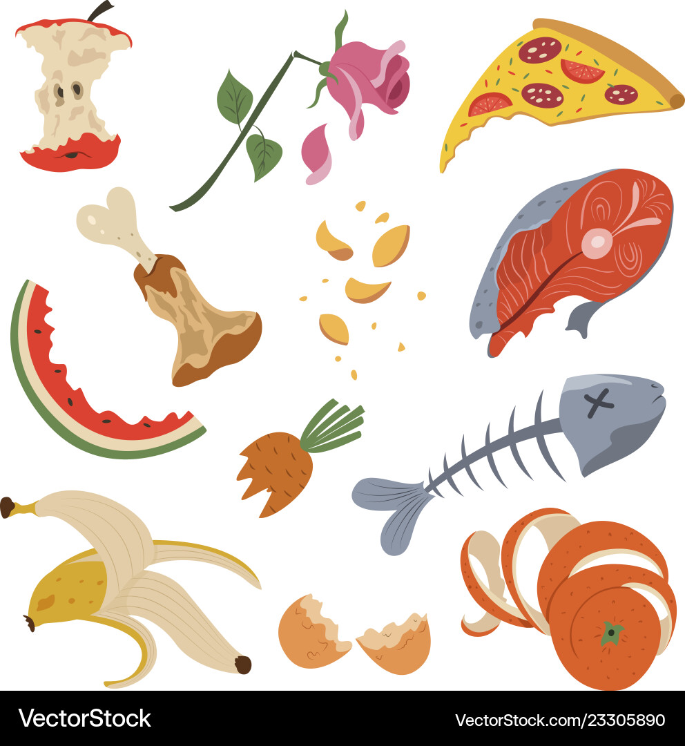 Food Waste \u0026 Composting Set – Royalty-Free Vector | VectorStock, image size:992x1080