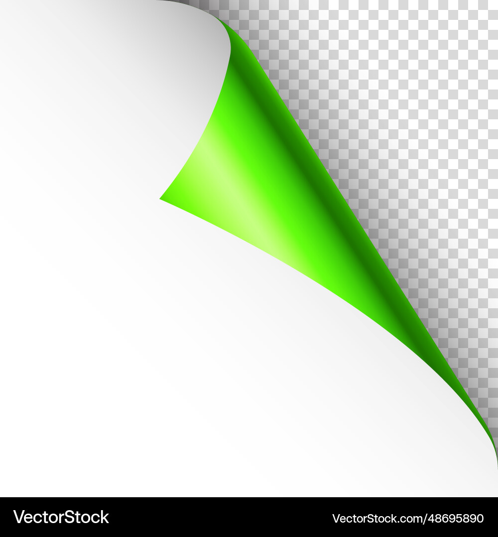 Green paper curl curled page corner with shadow Green paper curl curled page corner with shadow vector image