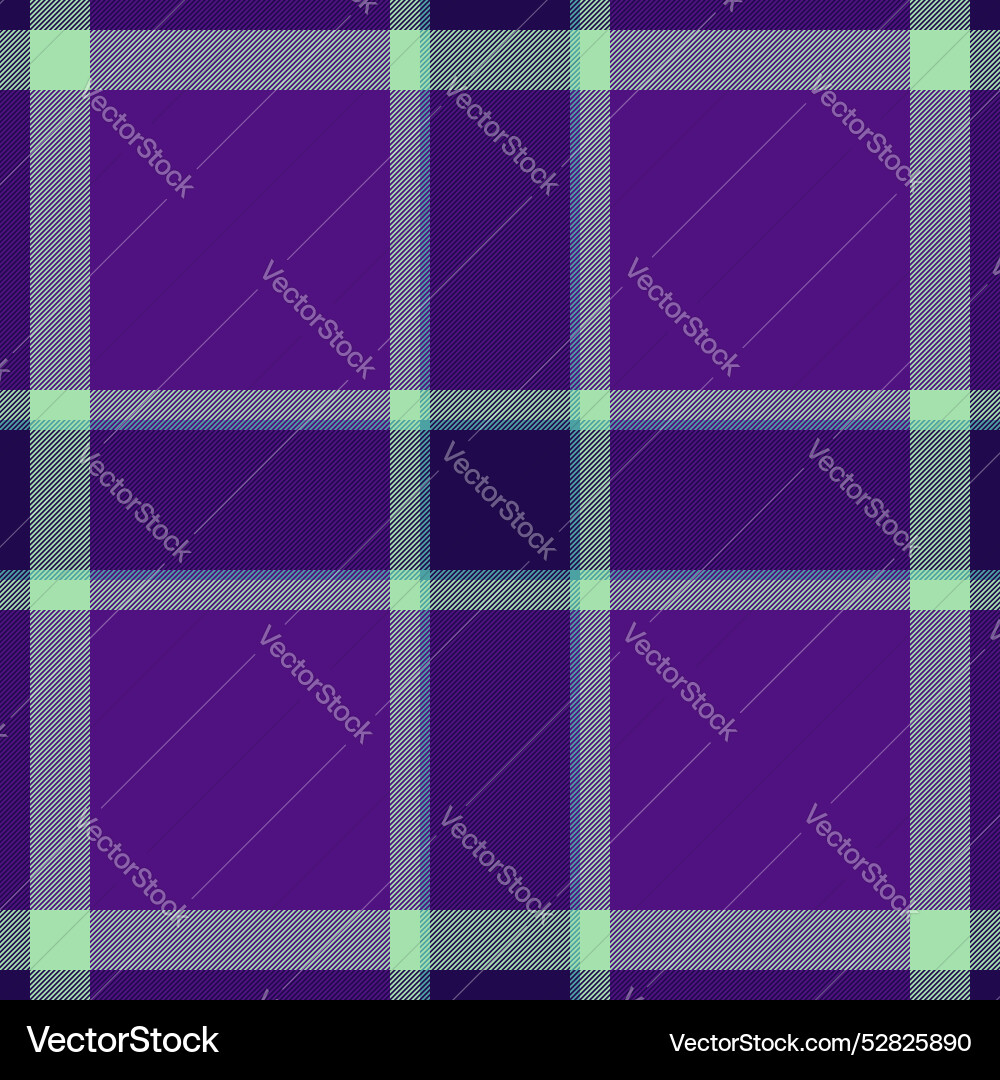 Official tartan seamless pattern display vector image