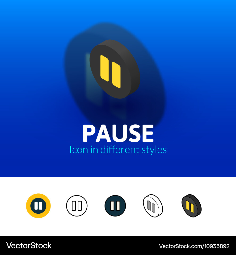 Pause icon in different style vector image