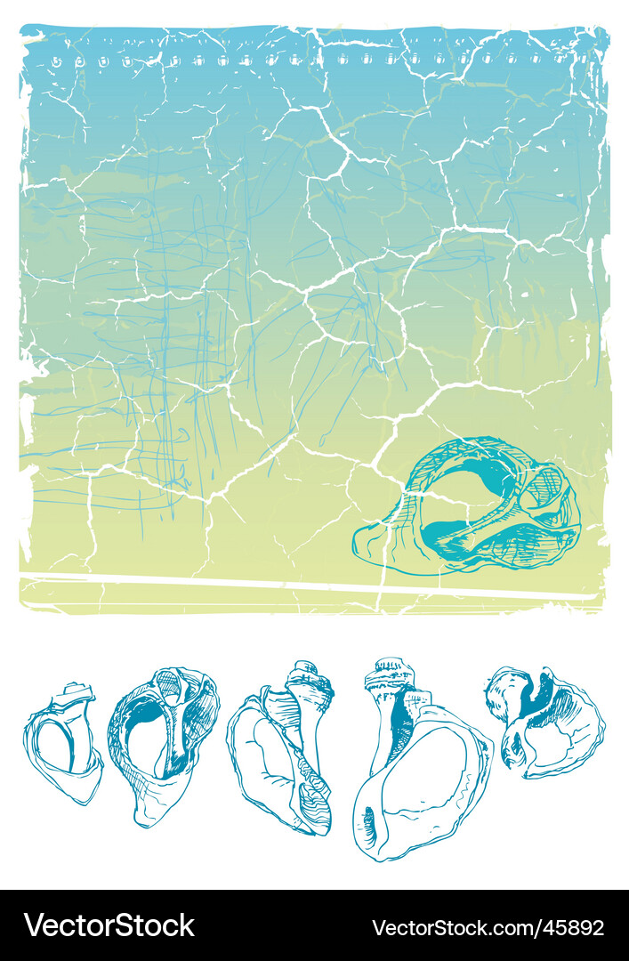Shell sketches Vector Image