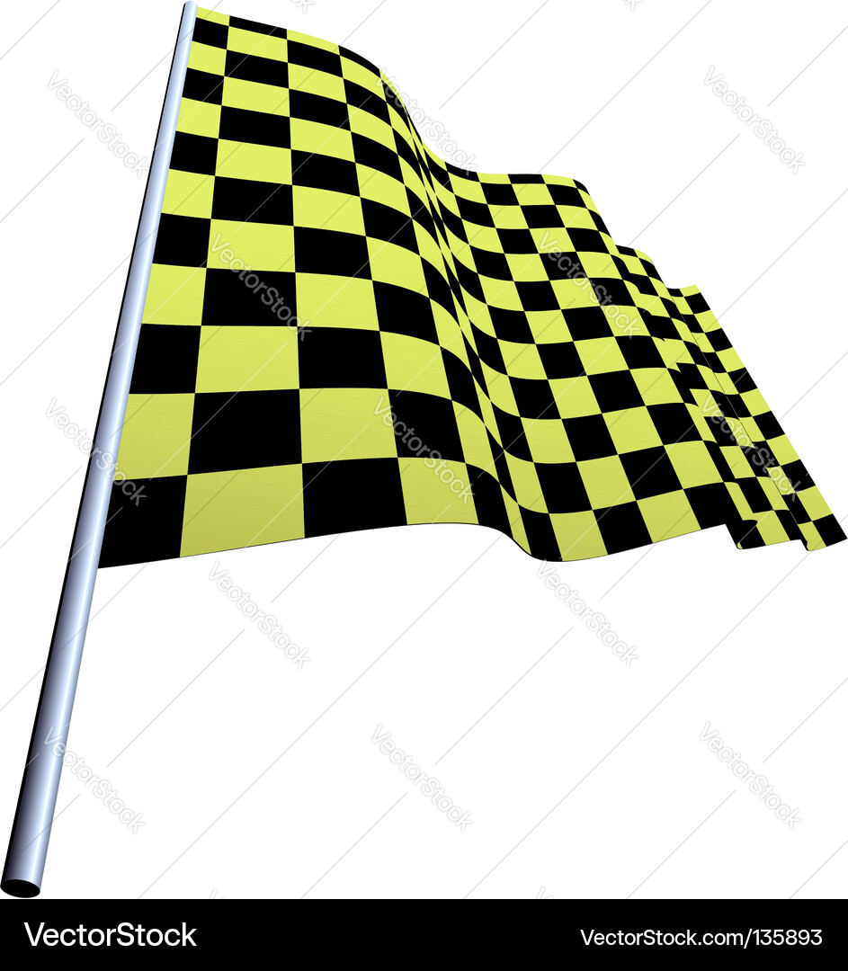 Checked flags vector image
