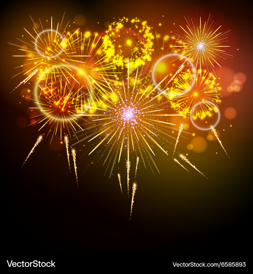 Holiday firework Royalty Free Vector Image - VectorStock