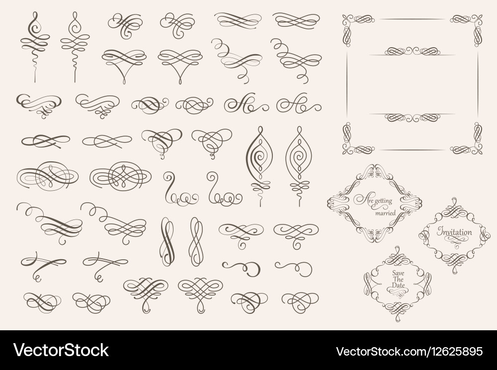 Elegant Calligraphic Swirls & Ornaments Vector Image