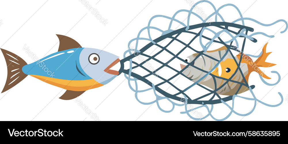 Fish in Net - A Moment of Observation Vector Image