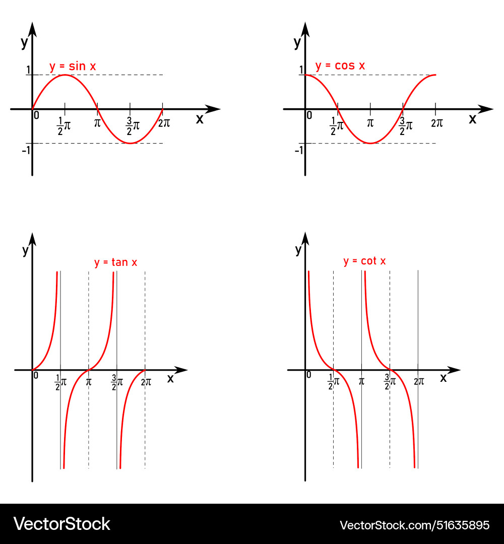Graphs of trigonometric functions royalty free vector image