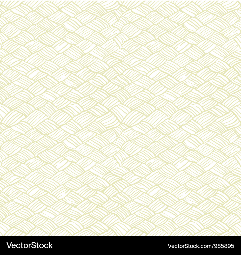 Woven Net Pattern Vector Image