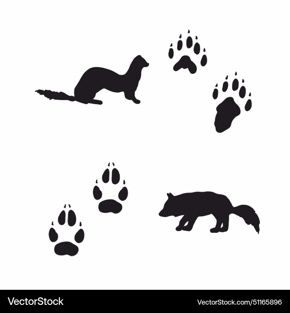 Animals and their tracks Royalty Free Vector Image