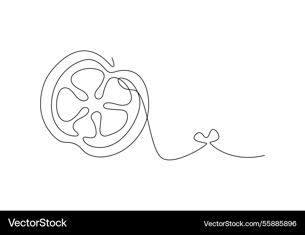 Minimalistic continuous line citrus fruit Minimalistic continuous line citrus fruit vector image