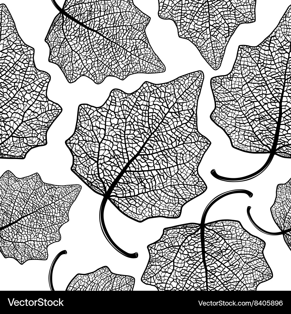 Skeletonized Leaf Pattern vector image