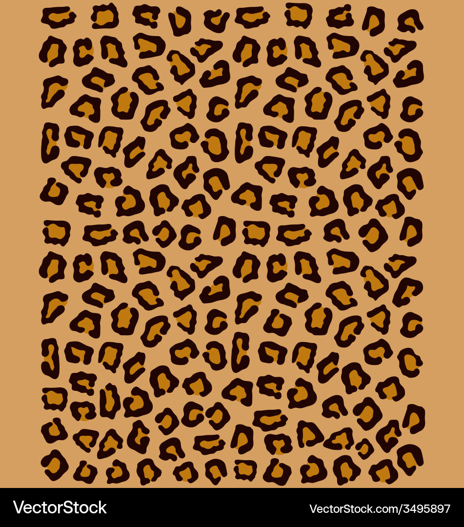 Leopard Print Pattern vector image