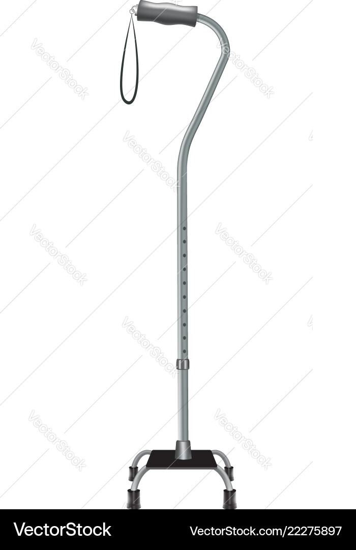 Support walking stick icon realistic style Support walking stick icon realistic style vector image