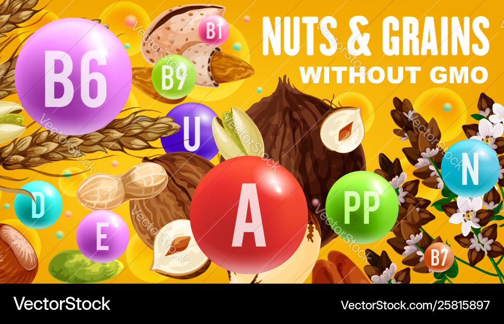 Vitamins in healthy cereals and organic vegan nuts Vitamins in healthy cereals and organic vegan nuts vector image