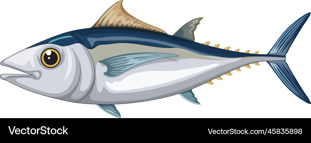 Adorable Albacore Tuna Cartoon Vector Image