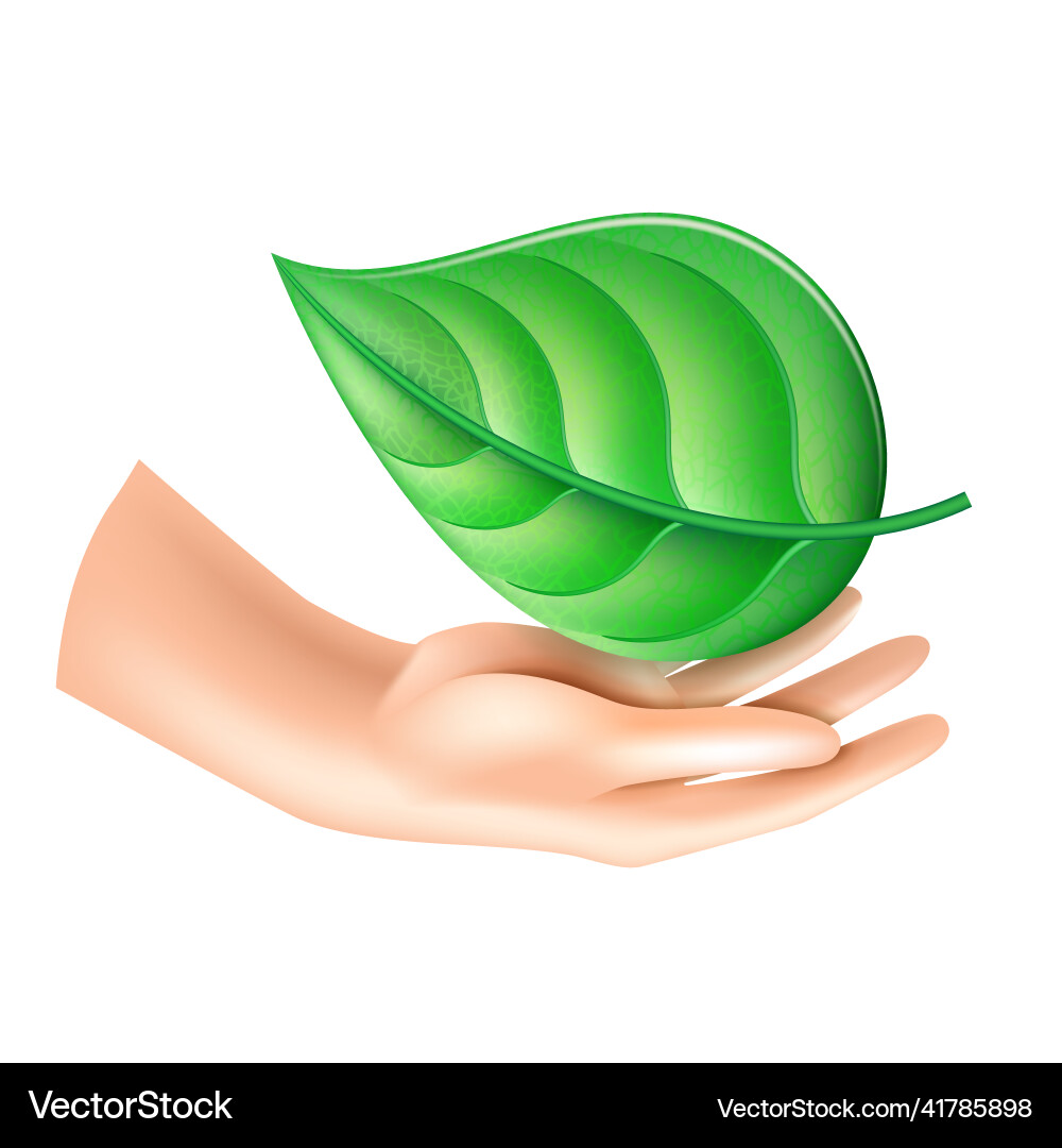 Hands hold a leaf of the plant vector image