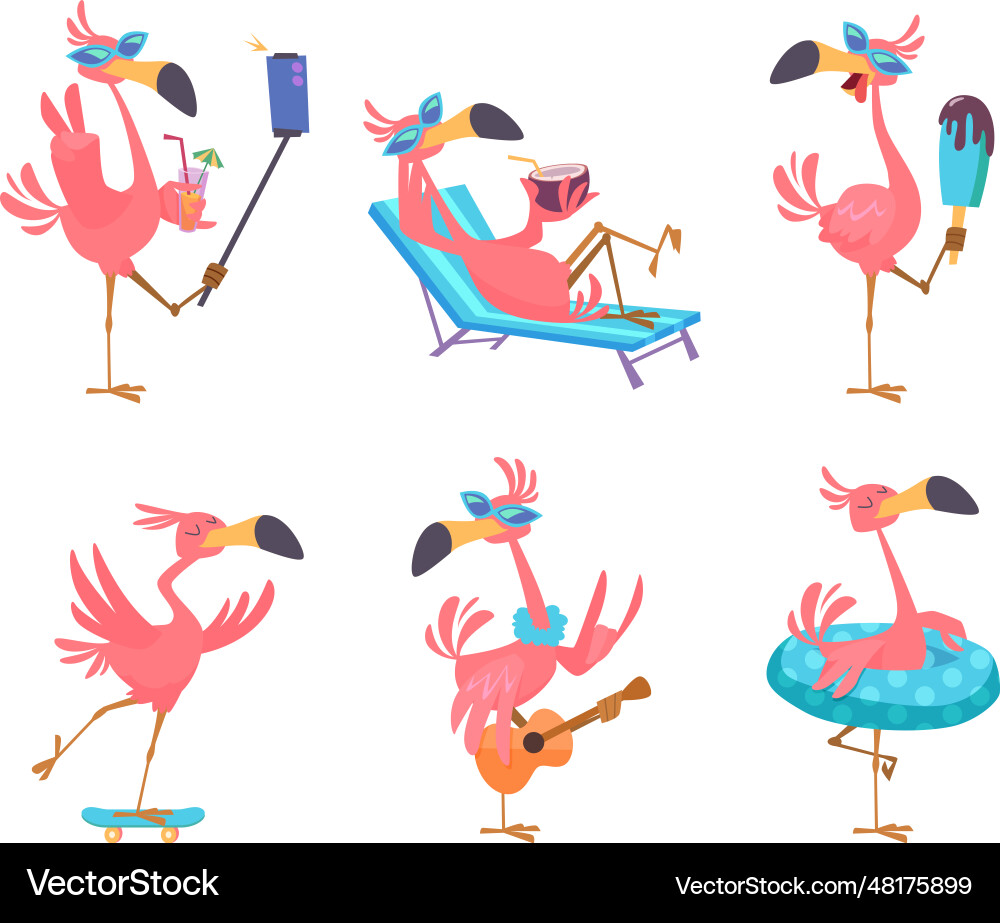 Flamingo cartoon cute funny exotic tropical birds Flamingo cartoon cute funny exotic tropical birds vector image