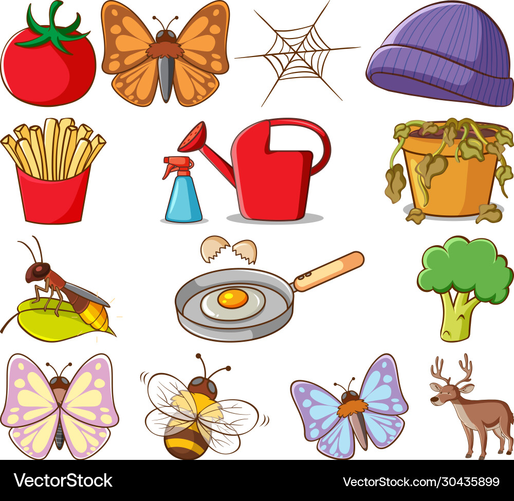 Large set different animals and other objects Vector Image