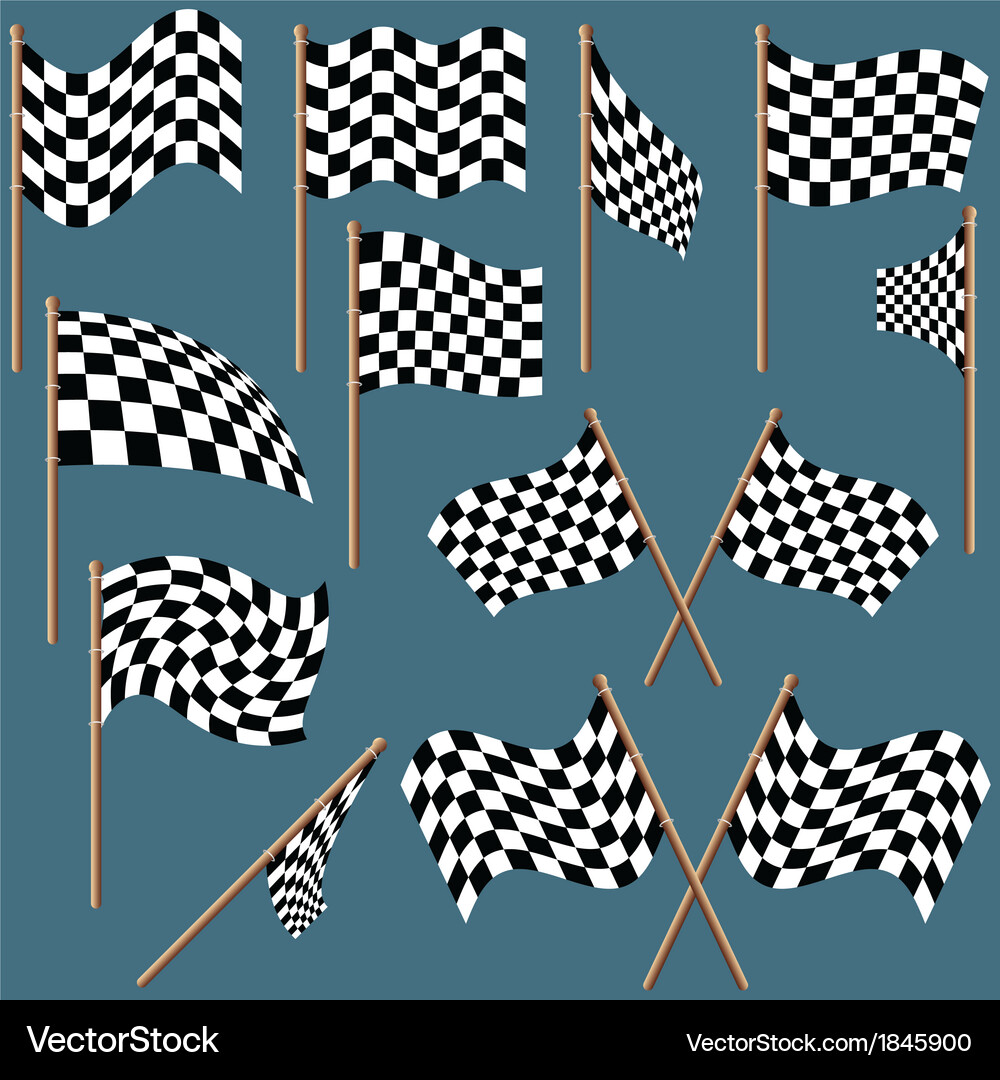 Checkerboard Flags Collection Vector Image