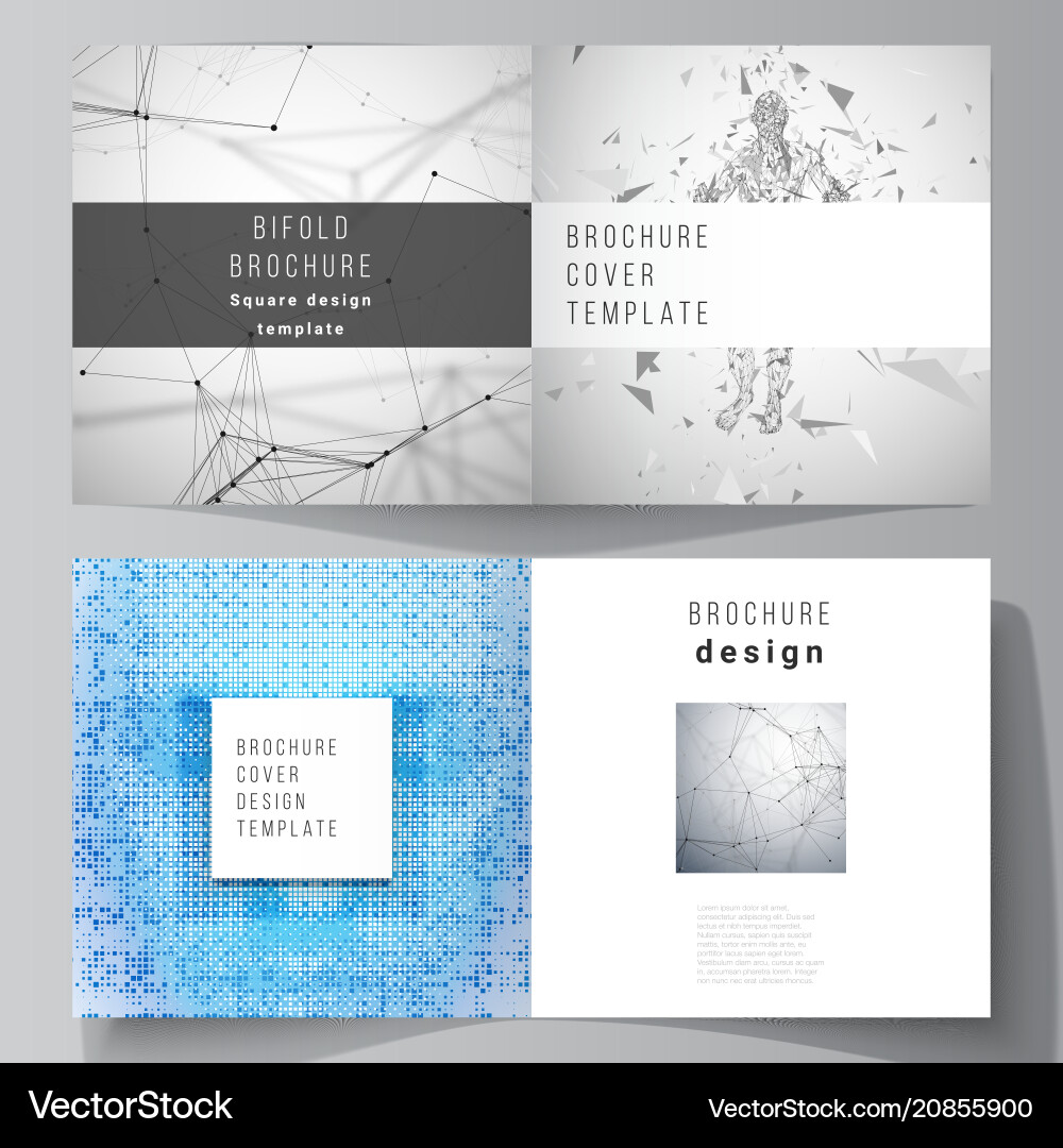 Editable layout of two Editable layout of two vector image