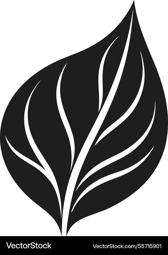 Elegante Blattsilhouette - natur inspirierte Öko Elegante Blattsilhouette - natur inspirierte Öko vektorbild