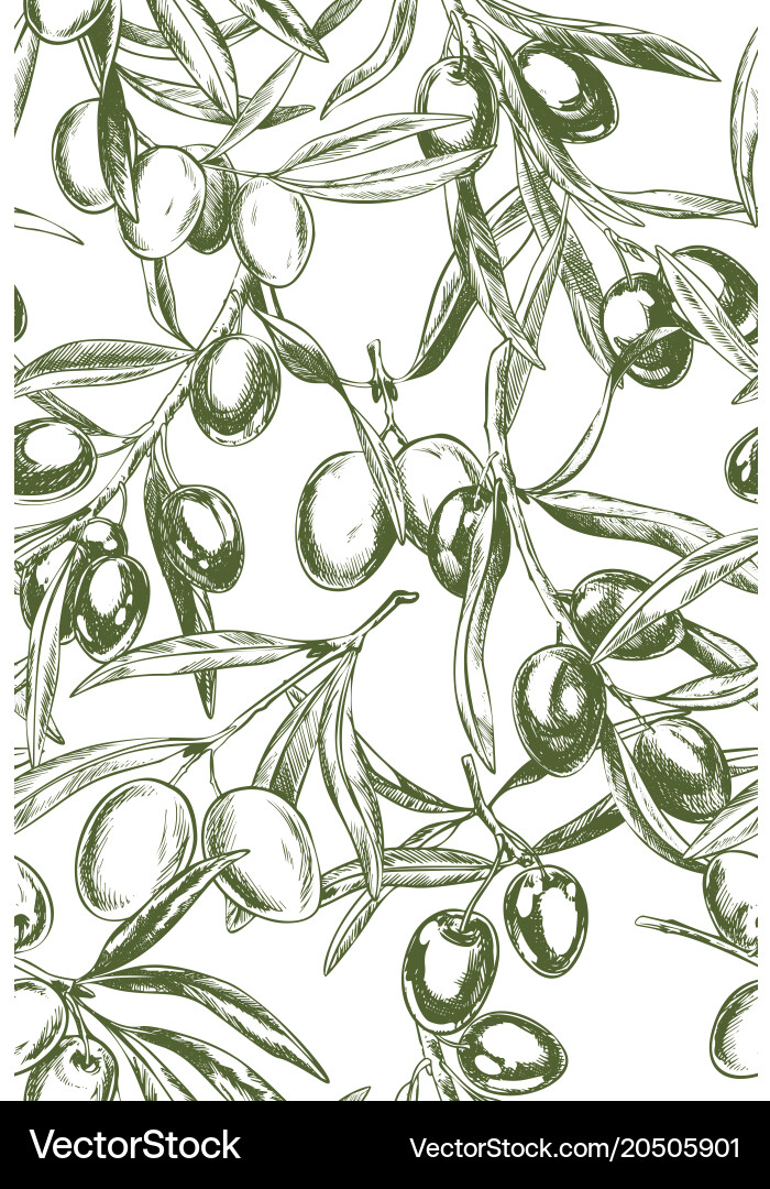 Olive branches hand drawn Royalty Free Vector Image