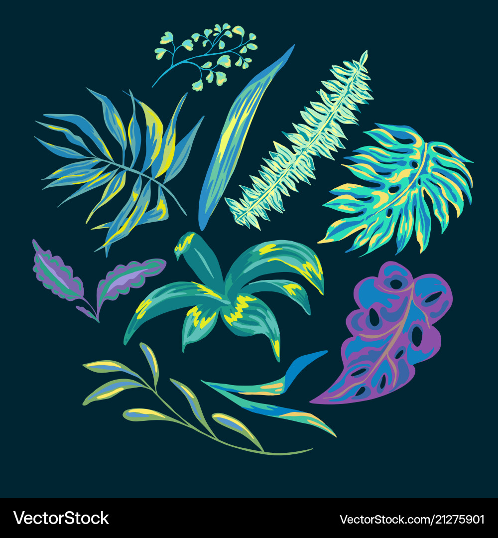 Summer tropical leaves decorative set Summer tropical leaves decorative set vector image