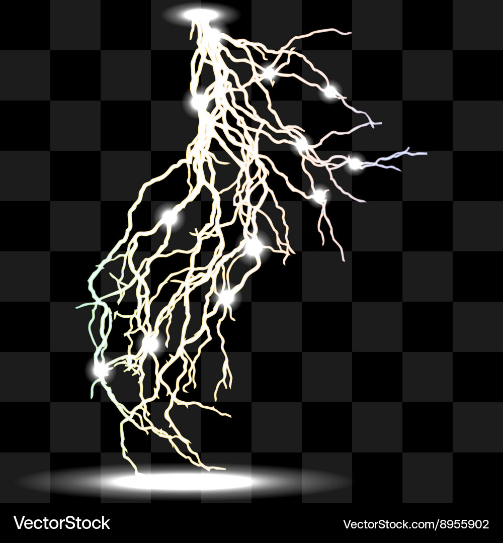 Isolated realistic lightnings with transparency Vector Image