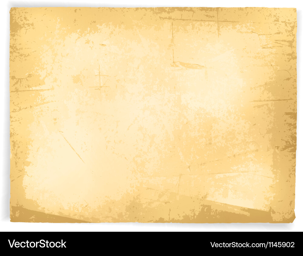 Vintage Grunge Paper Texture vector image