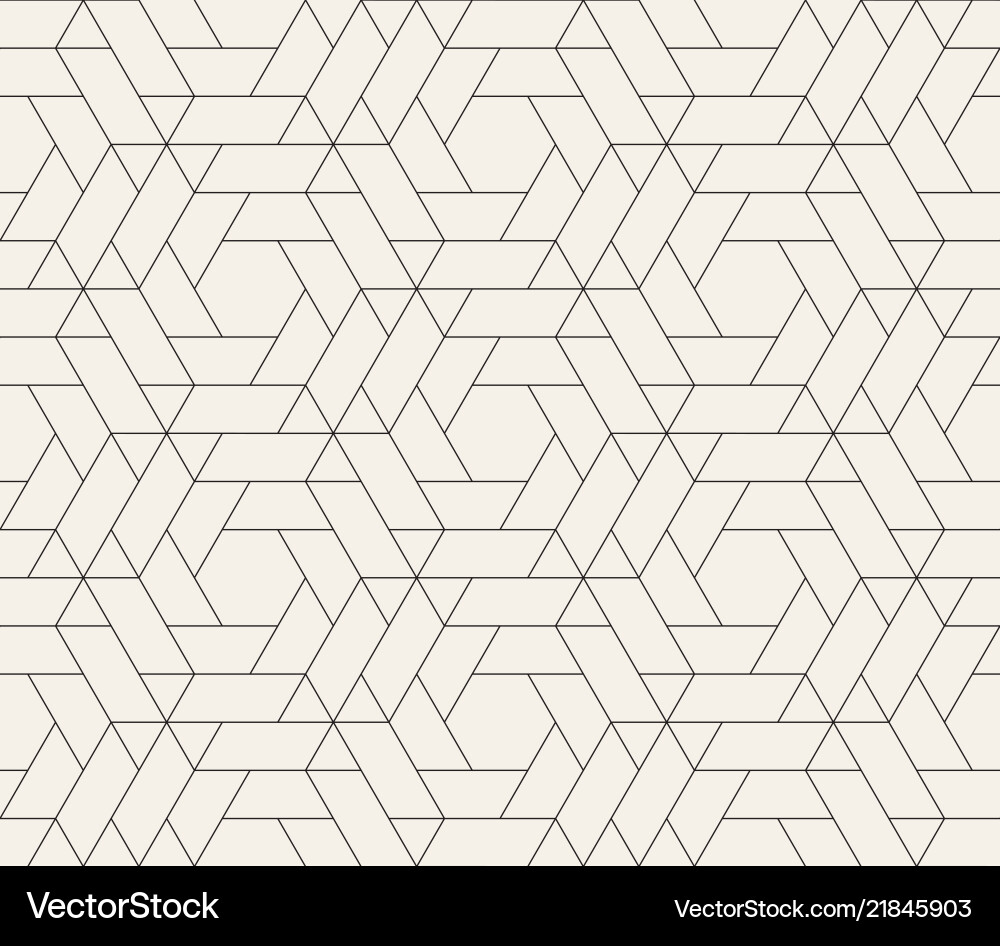 Geometric Line Pattern vector image