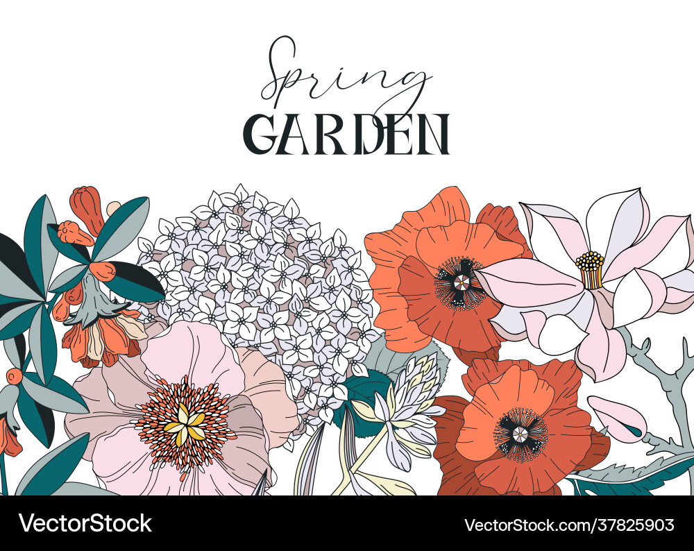 Rahmen mit Frühling und Sommerblumen - Mohn Rahmen mit Frühling und Sommerblumen - Mohn vektorbild