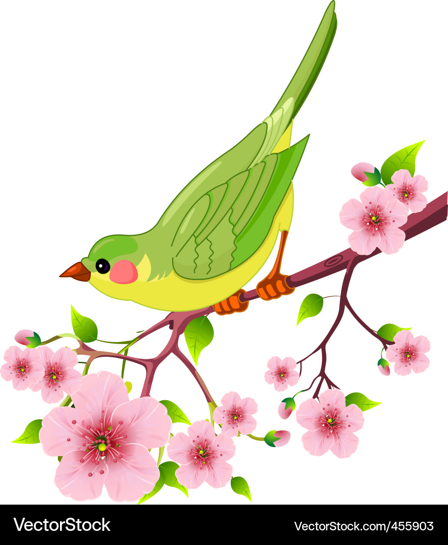 Spring Bird on Branch vector image