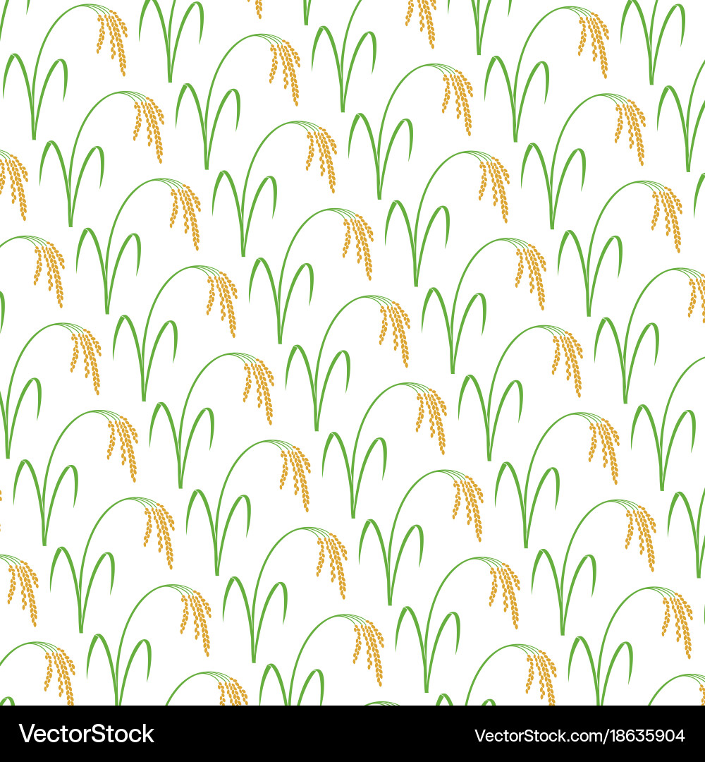 Background pattern with rice Vector Image