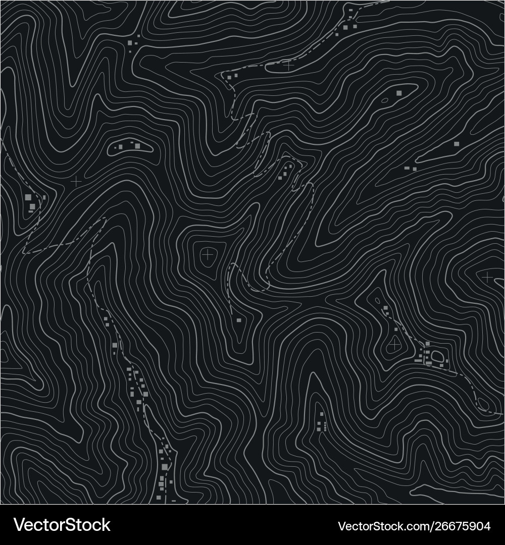 Topographic map seamless pattern background Vector Image