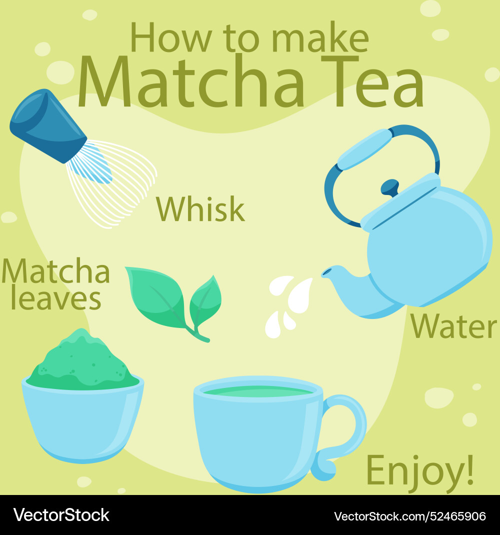 How to make matcha Royalty Free Vector Image - VectorStock