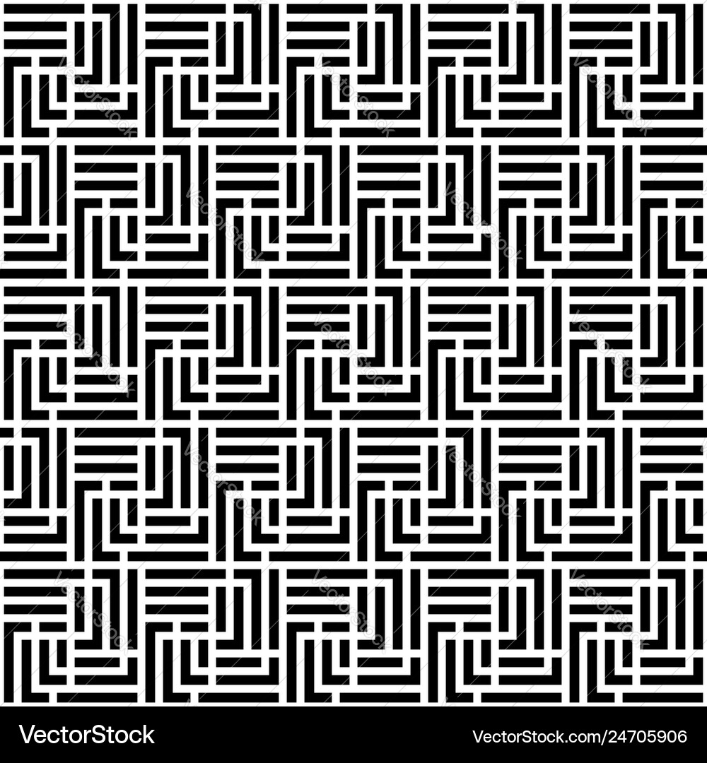 Intricate Labyrinth Pattern vector image