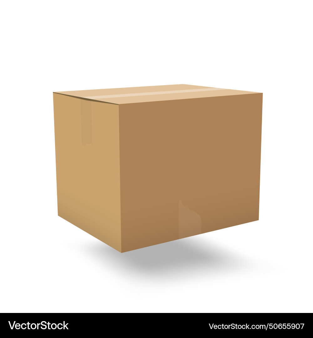 3d cardboard box isolated on white background Vector Image