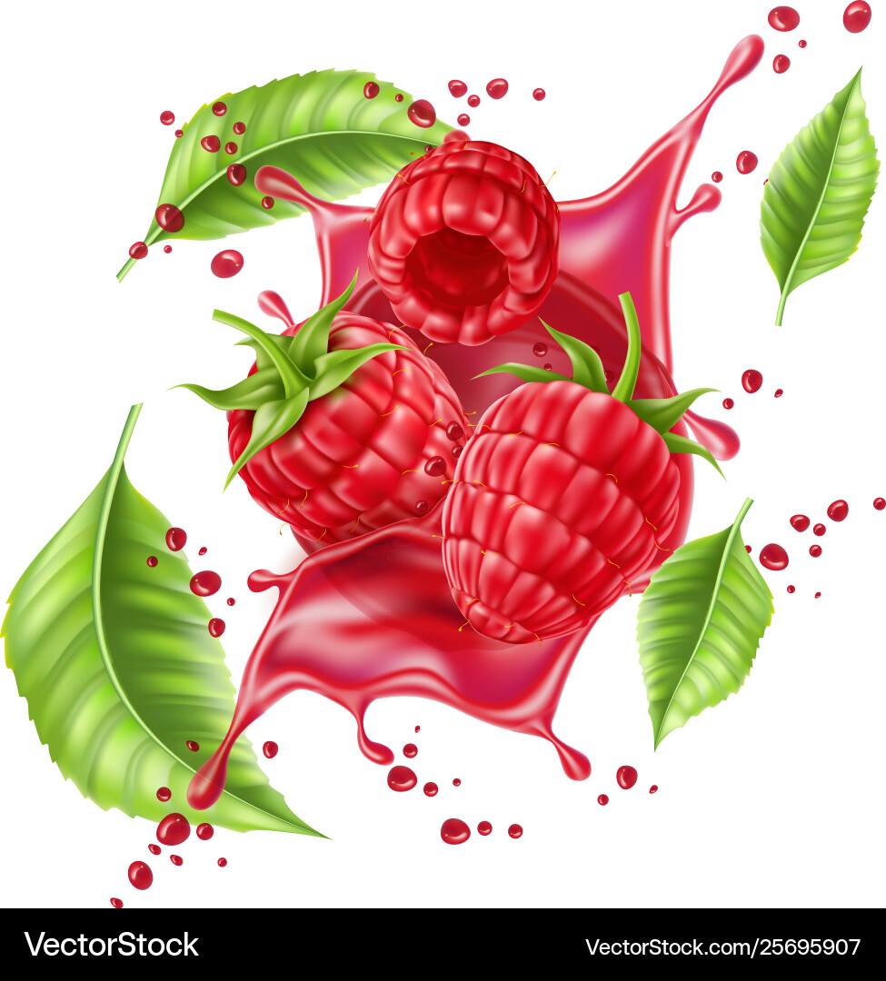 Realistic raspberry splash flow with leaves vector image