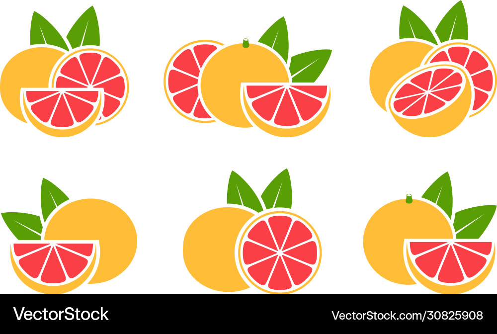 Grapefruit vector image