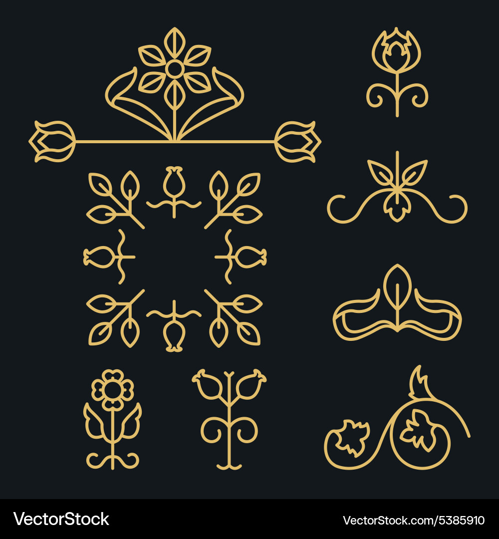 Linear set of elegant ornaments and elements vector image