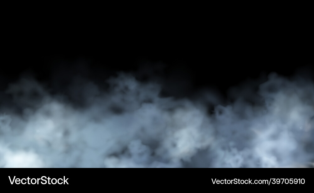 Realistic Fog Cloud Element Vector Image